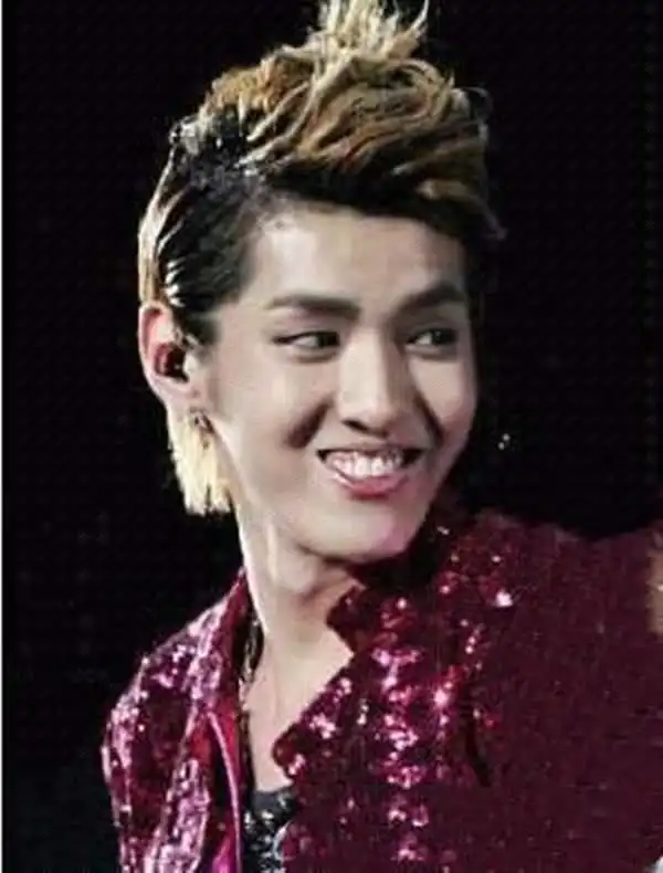 吴亦凡   圈中最帅的小鲜肉吴亦凡,变成了一只大公鸡,顶着金黄色的"