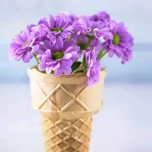 风里的木棉花头像