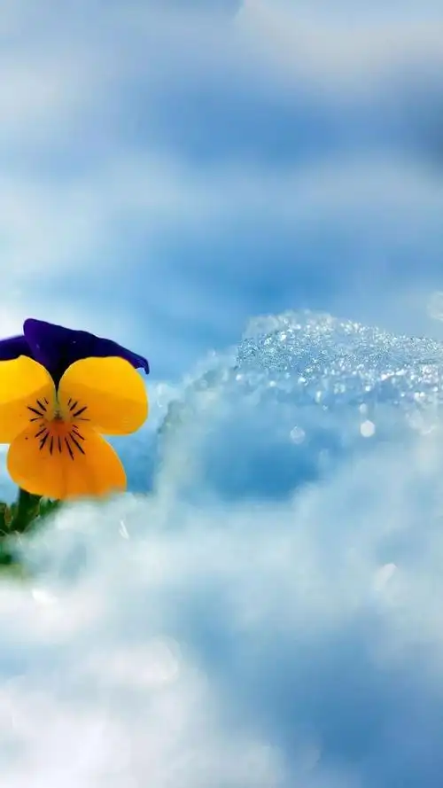 绿色背景图 养眼 微信 绿色背景图片 微信 养眼 - 网络编辑之家