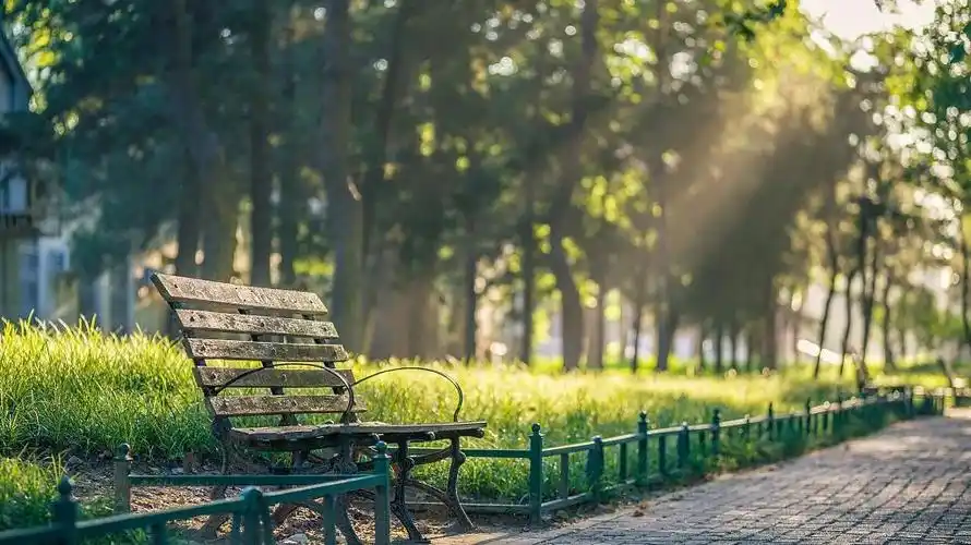 意境图 * 图源网络