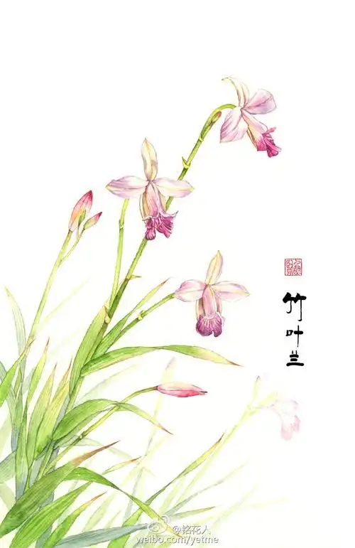 手绘古风花