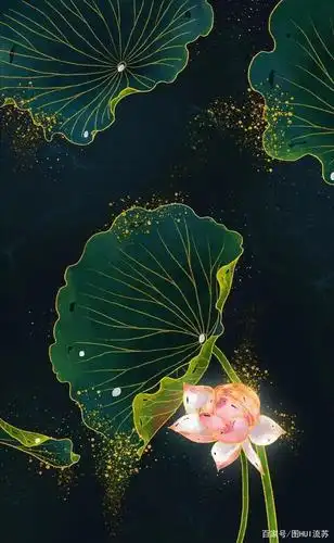 小清新系列手机壁纸