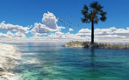 首页 自然与风景 大海和海岸 海,棕榈树,鸟,海鸥,云 壁纸 / 1920x1200