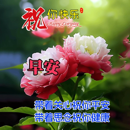 今日最新版早上好表情图片大全,快乐相随,彼此珍惜