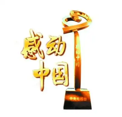 2017感动中国观后感作文800字范文