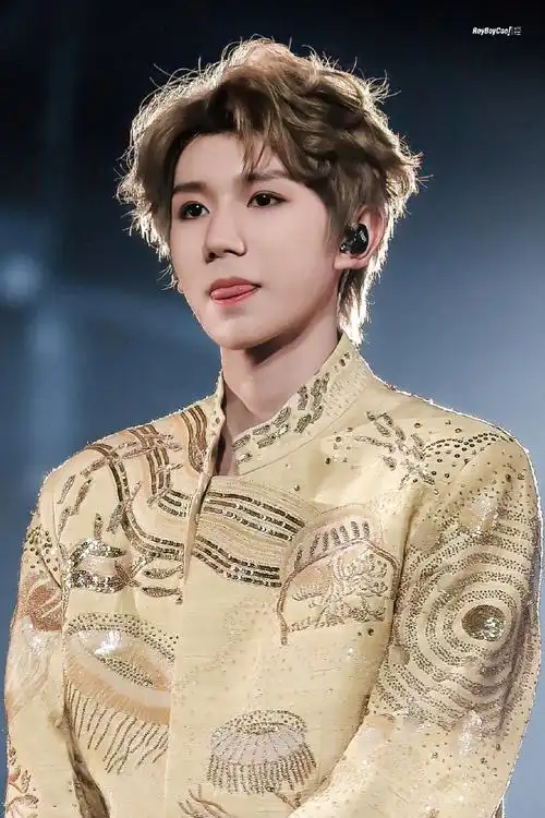 tfboys十周年演唱会灯牌设计##王源客厅狂欢巡演