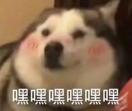 嘿嘿嘿嘿嘿嘿(狗狗脸红)_脸红_狗狗_嘿嘿表情