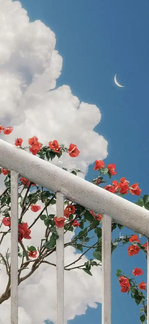 高清壁纸可爱壁纸锁屏壁纸ins壁纸##背景图朋友圈背景图表情包##女生
