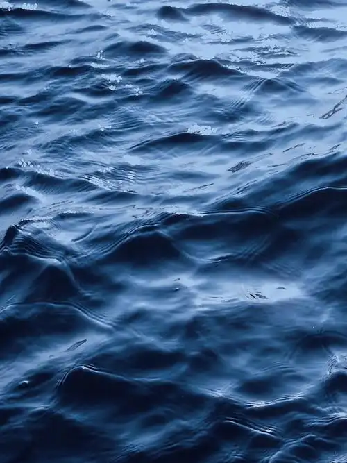 我的摄影日记丨蓝色是最温暖的颜色02