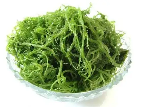 沿着神农氏的足迹之昆布(海藻)