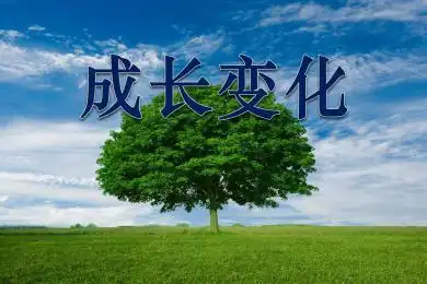 六年级《成长变化》ppt课件