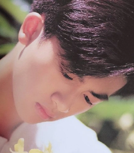 苏有朋郭富城年轻时颜值太撩人当年的男神吊打如今的小鲜肉