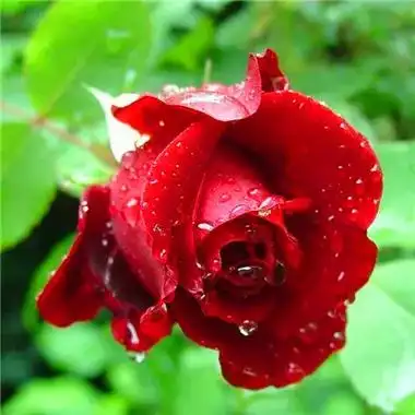 2023最旺风水的好运头像(精选44张)