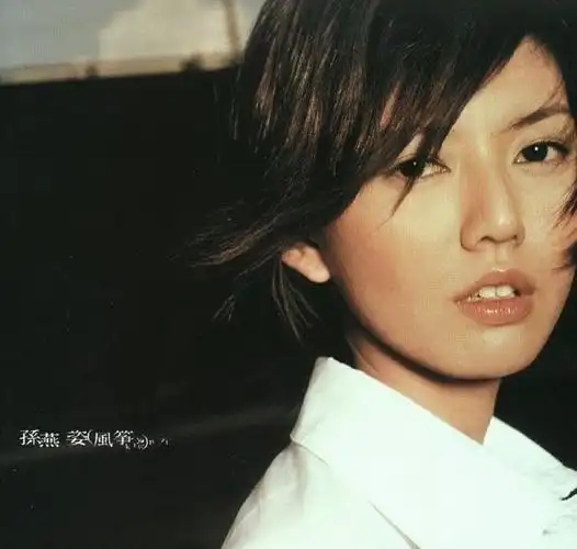 如何评价孙燕姿?