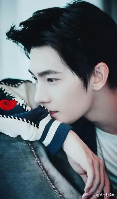 在娱乐圈中,杨泽和杨洋是两位活跃的演员,他们各自以独特的魅力和才华