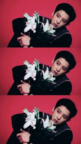 exo朴灿烈高清壁纸