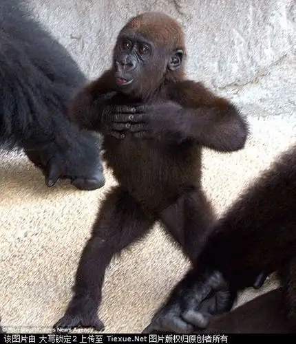 "捶胸"解郁也是一良方