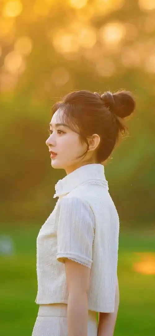 马丽言论 赵丽颖简介