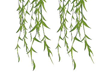 【原创素材】gif格式透明花草素材(新制02)