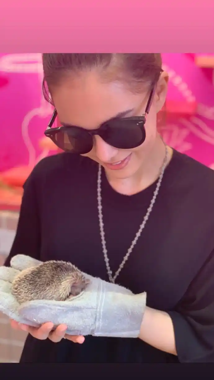 昆凌hannah更新ins快拍