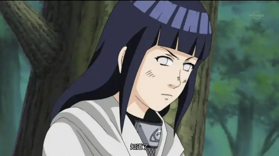 日向雏田的出场集数有哪些