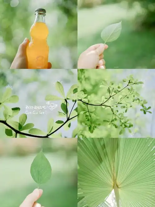 手机调色日系小清新氛围感调色教程