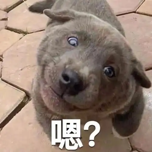 搞笑沙雕的gif表情包