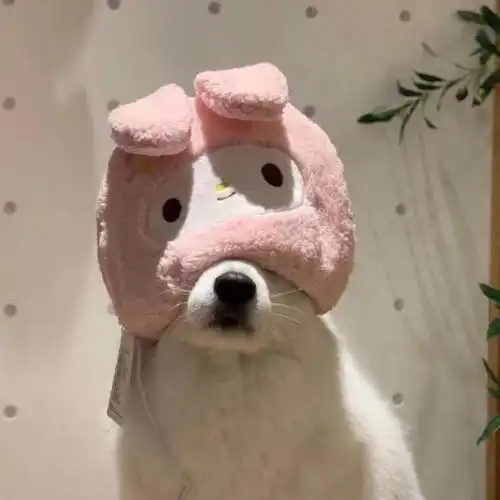 沙雕头像表情包,逗比一个