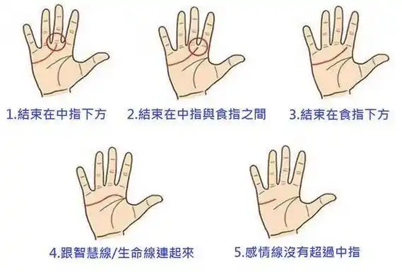 手上感情线上有十字纹代表什么