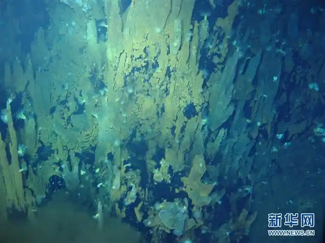 中国科学院海洋研究所研究员张鑫说,海底热液区的成因在于海水从地壳