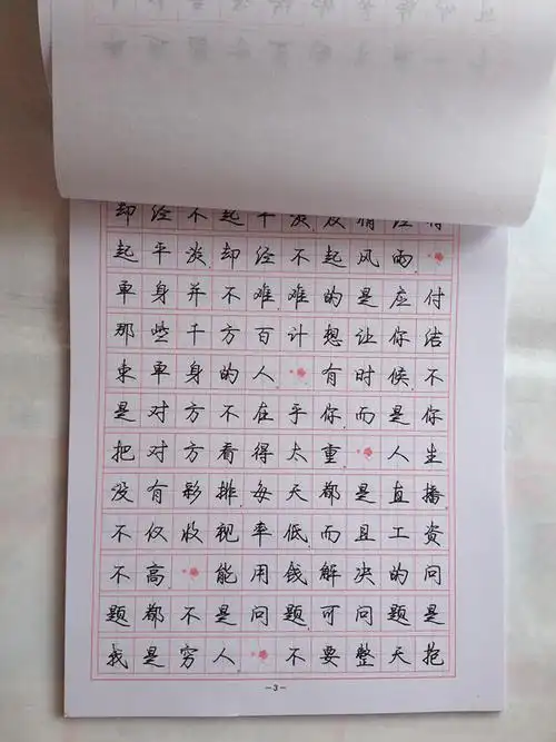 中国名家书法 学生成人练字钢笔字帖罗扬新时尚行书字帖批发