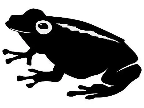 青蛙,剪影