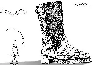 加息"靴子"落地 中报行情可期