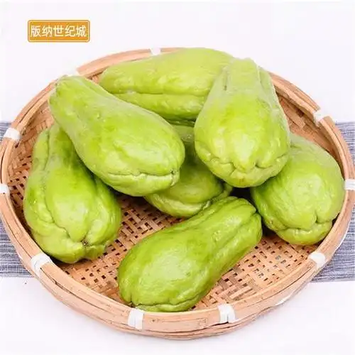 bn洋丝瓜约300g330g份