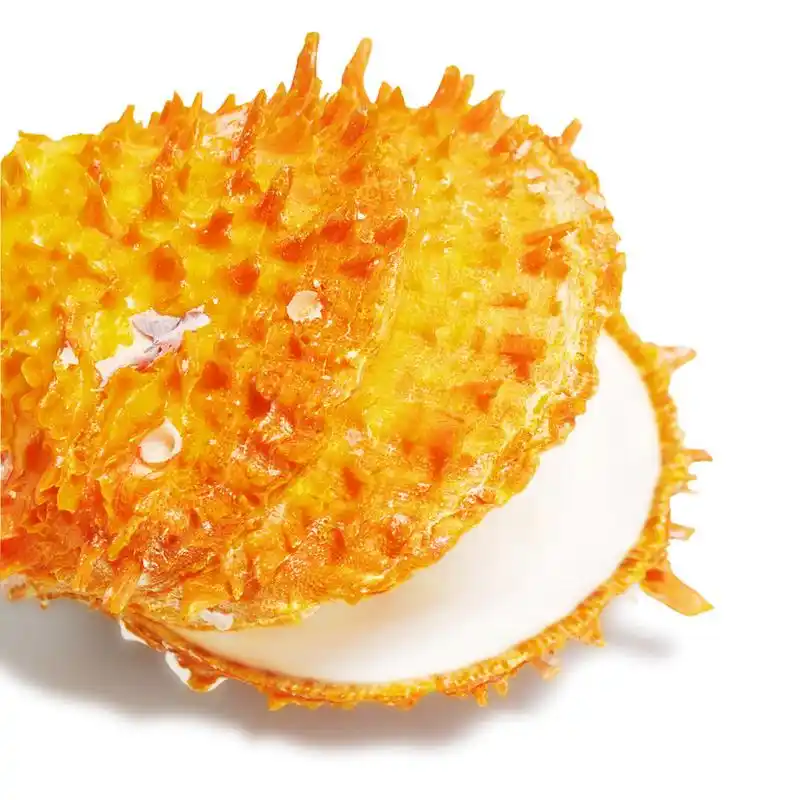 橙色贝壳,橙色的半开贝壳与尖峰孤立在白色背景特写