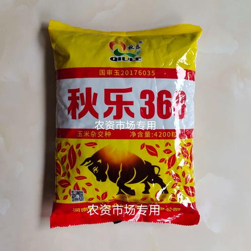 秋乐368南北方紫叶大棒春夏播大全玉米种子高产量紫杆抗倒