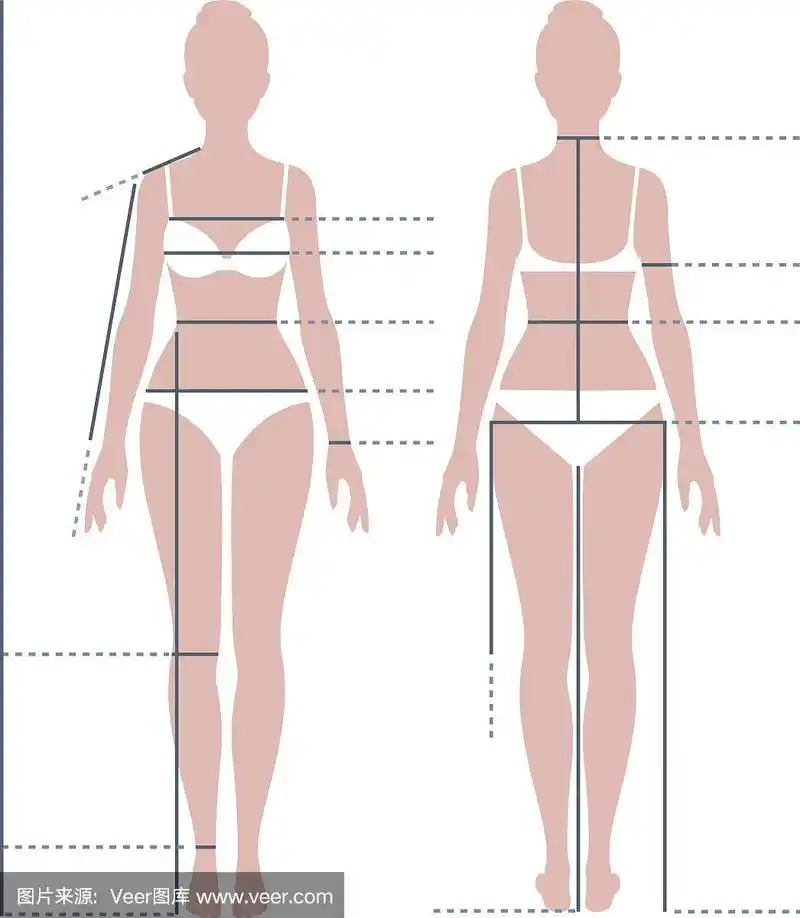 女性身体全长尺寸测量