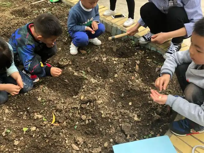 现在我们要开始种了,先把小瓜和南瓜籽放进土里