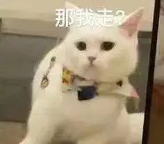 那我走(猫咪表情包)_猫咪表情