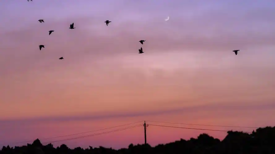 黄昏唯美意境风景抖音特别火的背景图-风景壁纸 - 壁纸之家