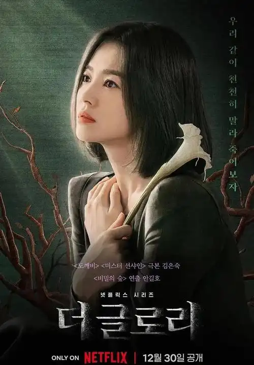 影视作品不分国界13部评分8分以上的韩剧宋慧乔一人独占了4部