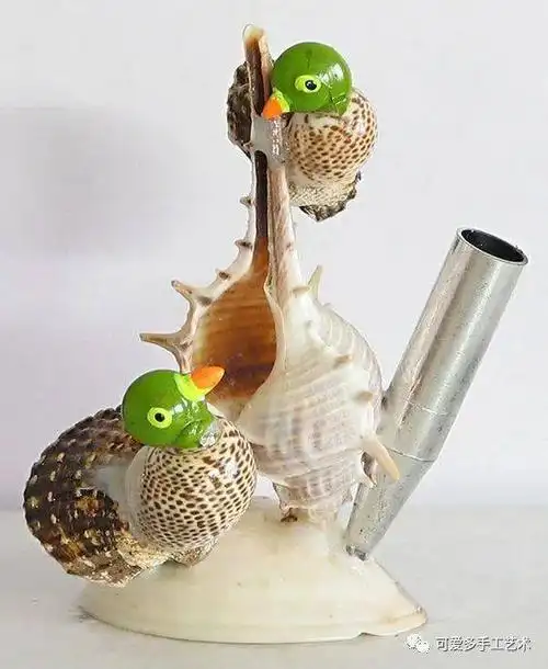 海边捡回家的贝壳粘起来一不小心成了艺术家