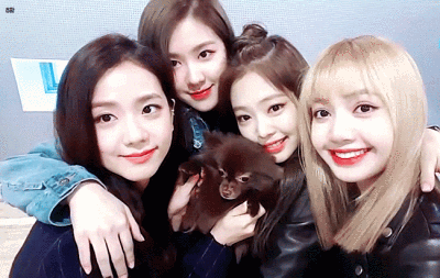 400_253gif 动态图 动图