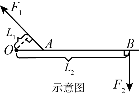 如图所示,当人曲臂将重物端起时,人的前臂可以看作一个杠杆.