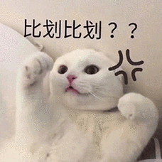 萌宠猫咪比划比划呆萌可爱gif动图_动态图_表情包下载_soogif