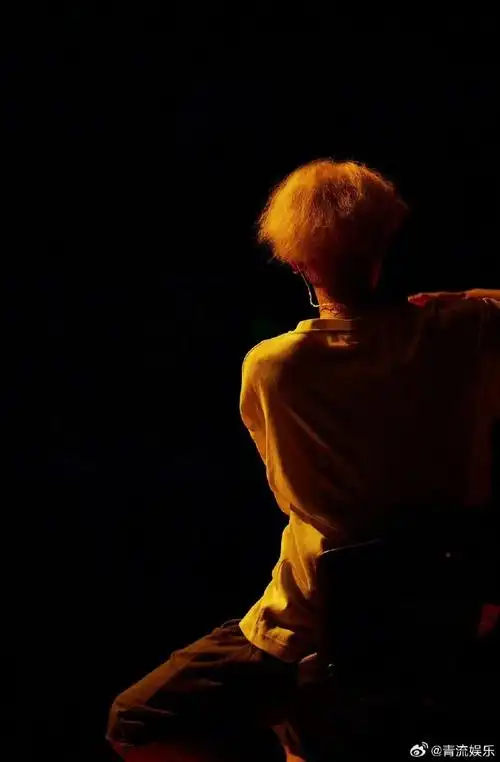 鹿晗演唱会背影图