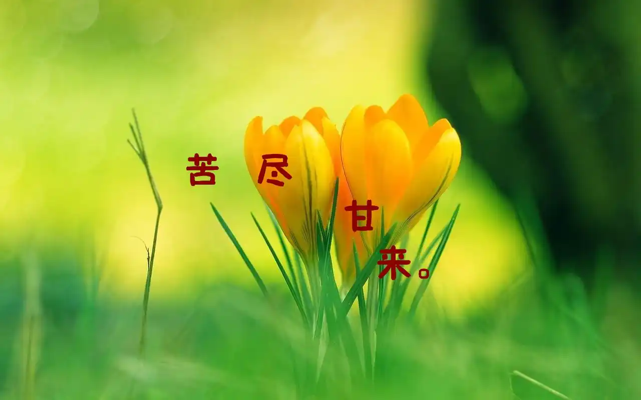 小清新奋斗风景宽屏高清桌面壁纸