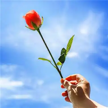 2023最火爆微信头像风景(精选26张)-非主流之家