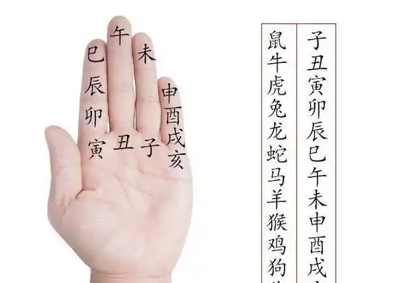 十二生肖分为:   鼠,牛,虎,兔,龙,蛇,马,羊,猴,鸡,狗,猪.