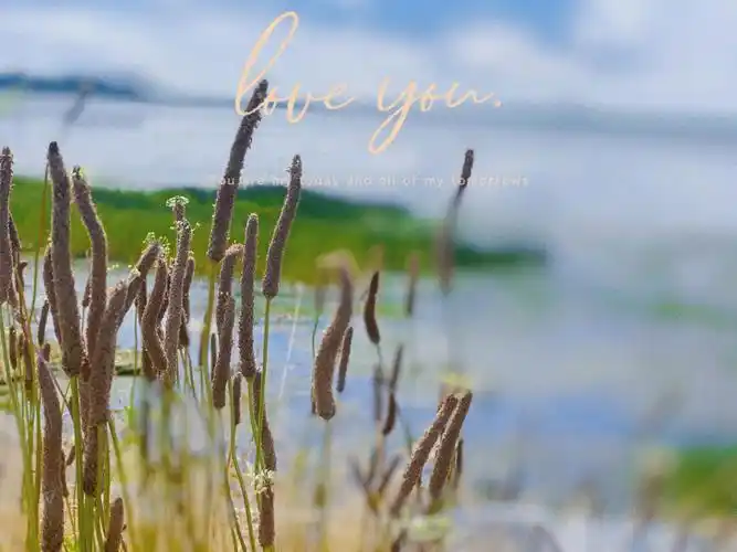 在这等你静静的